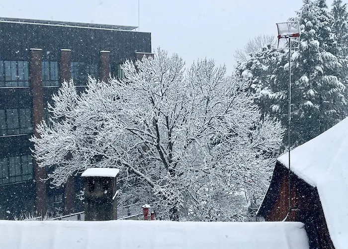 דירה Ratuszowy *